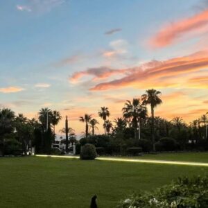 CANNES | Croisette | 4-room 110m2 | 65m2 Garden